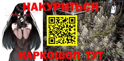 СК Кудрово