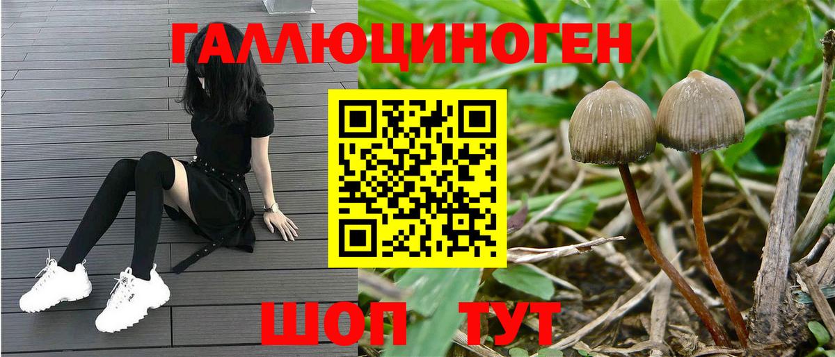 Нижний Новгород  Галлюциногенные грибы ЛСД  Псилоцибиновые грибы Magic Shrooms  Вход с VPN 